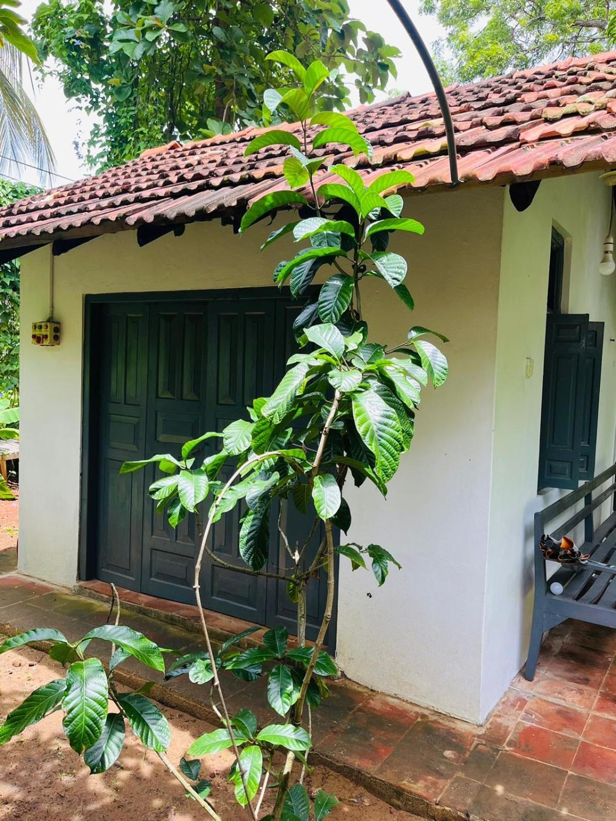 Agora Villa By Esperanza Tangalle Dış mekan fotoğraf